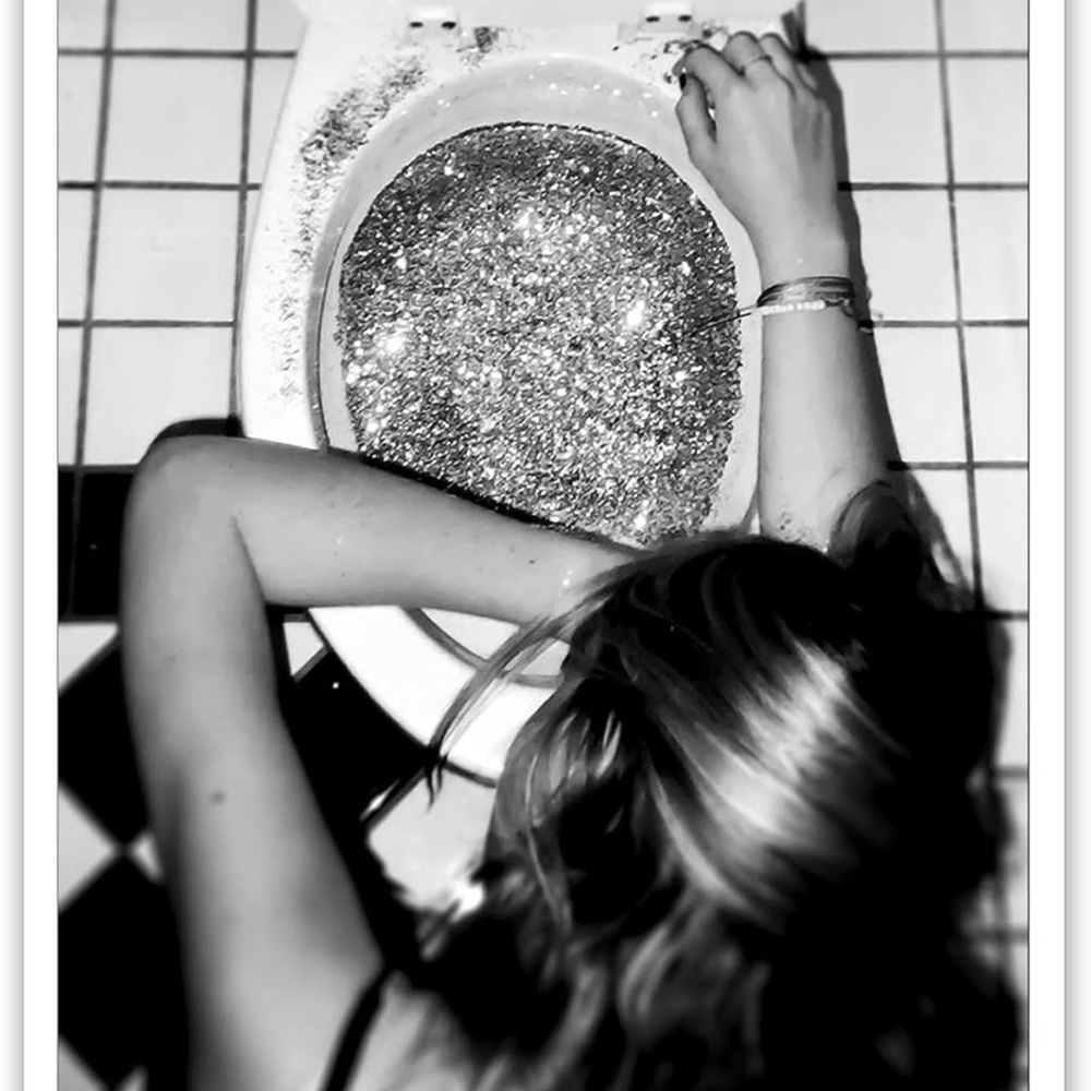 Glitter filled toilet Art Wall Picture Photo 24x16 inches unframed